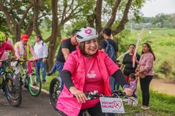 Opinión. ¿Qué pasa con el proceso electoral?