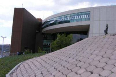 Denuncias han crecido 25% en nuevo Sistema Penal