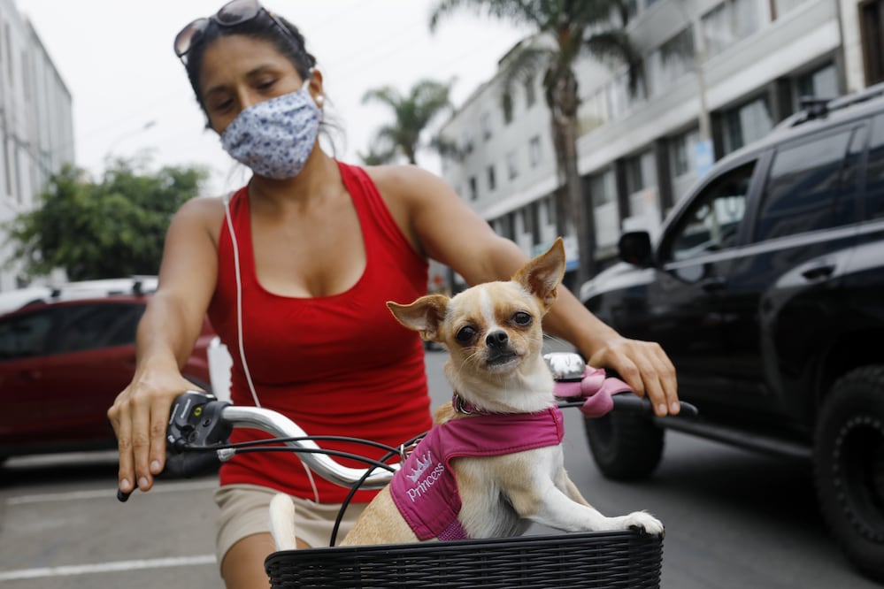 Foto: Archivo. El Universal