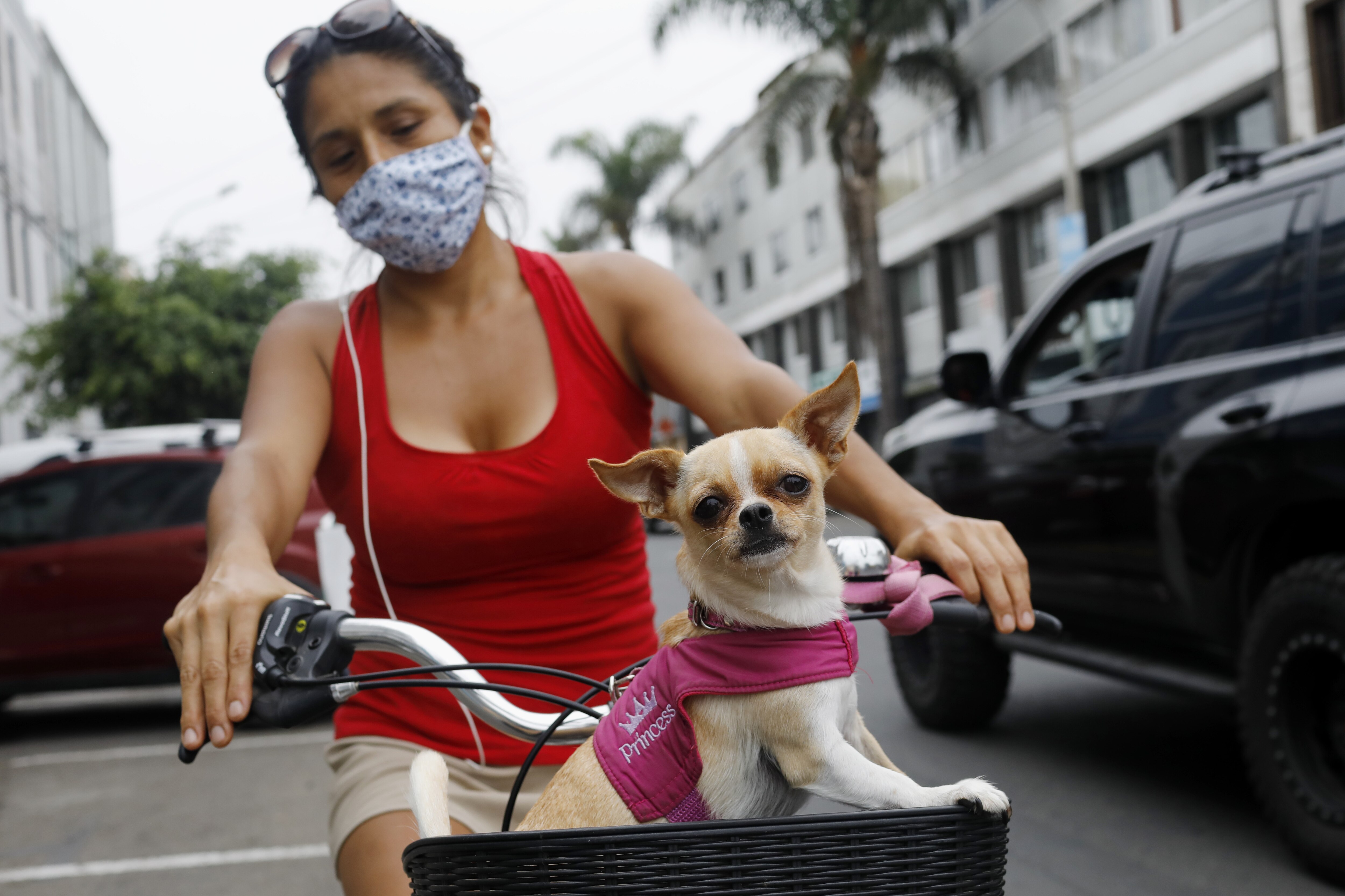 Foto: Archivo. El Universal