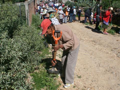 Tienen Pobladores empleo temporal