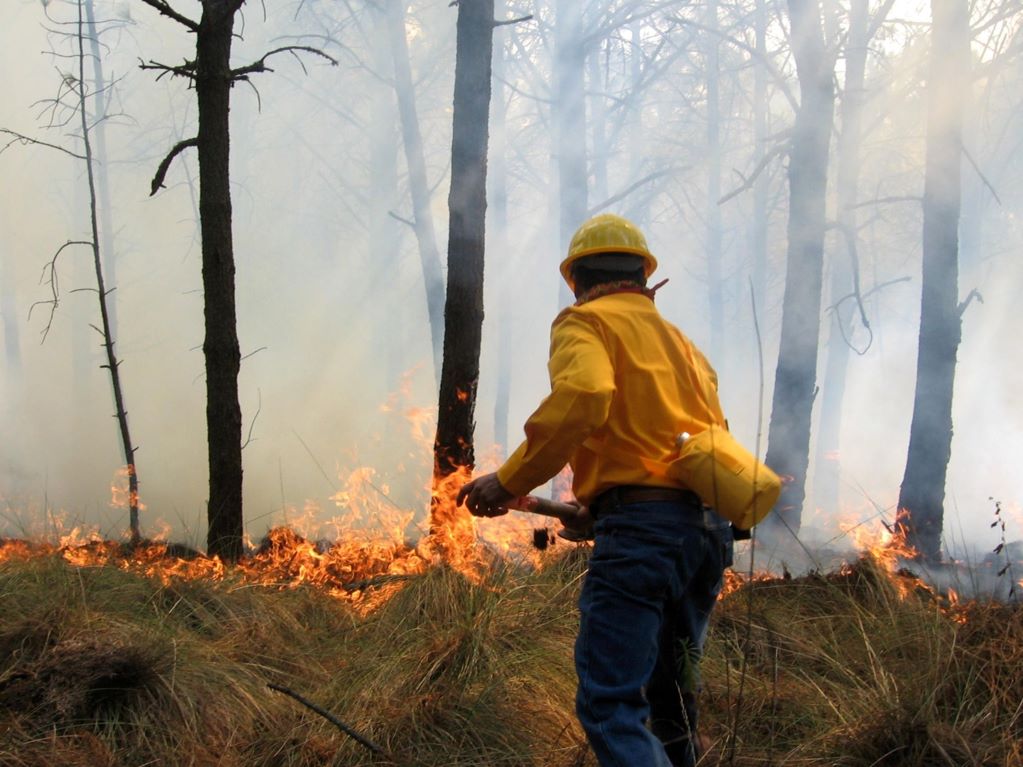 Van 692 hectáreas afectadas por los incendios forestales en Querétaro