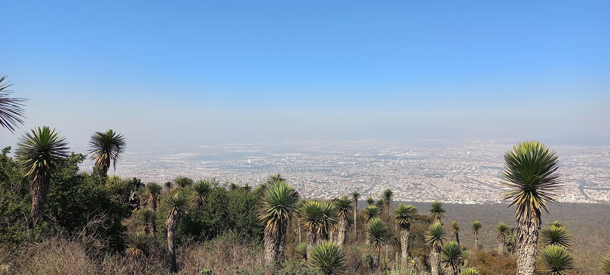Vista desde el Parque Nacional El Cimatario. Foto: FB, Adriana Ortiz