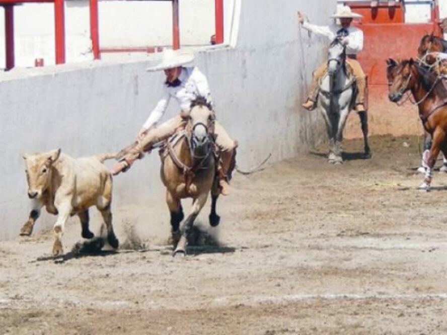 Unos 60 mdp prevén gastar 