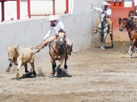 Unos 60 mdp prevén gastar