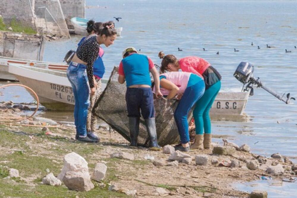 Reportan siete muertos en vacaciones de Semana Santa