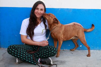 Flor: “Las mascotas no son un juguete de la casa”