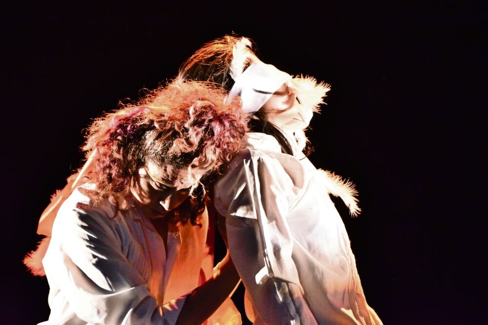 Albatros, una obra escénica incluyente