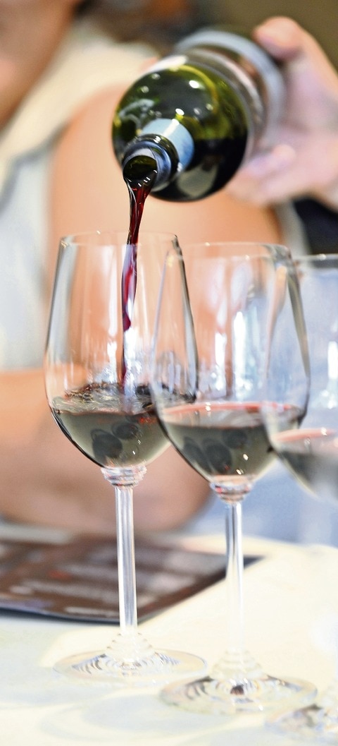 Los mejores vinos del bajío