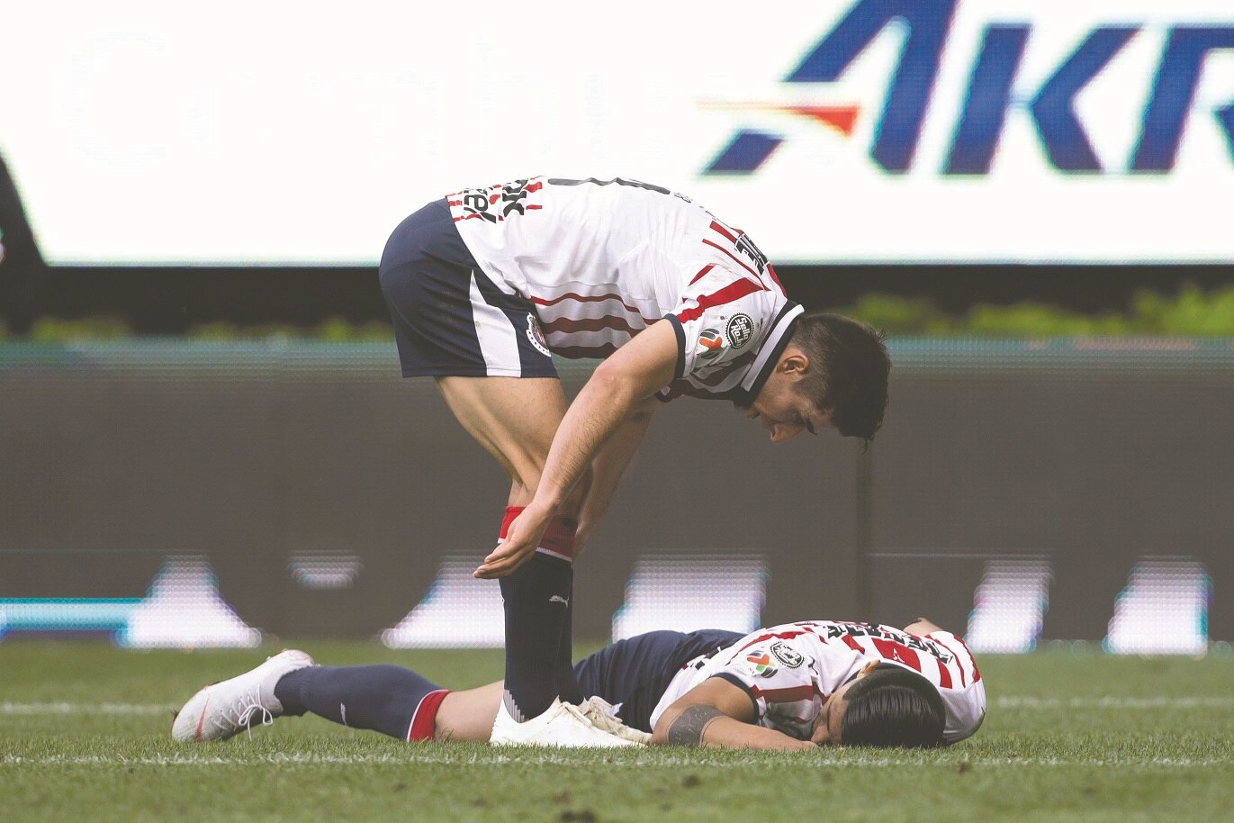 Gallos empata a Chivas