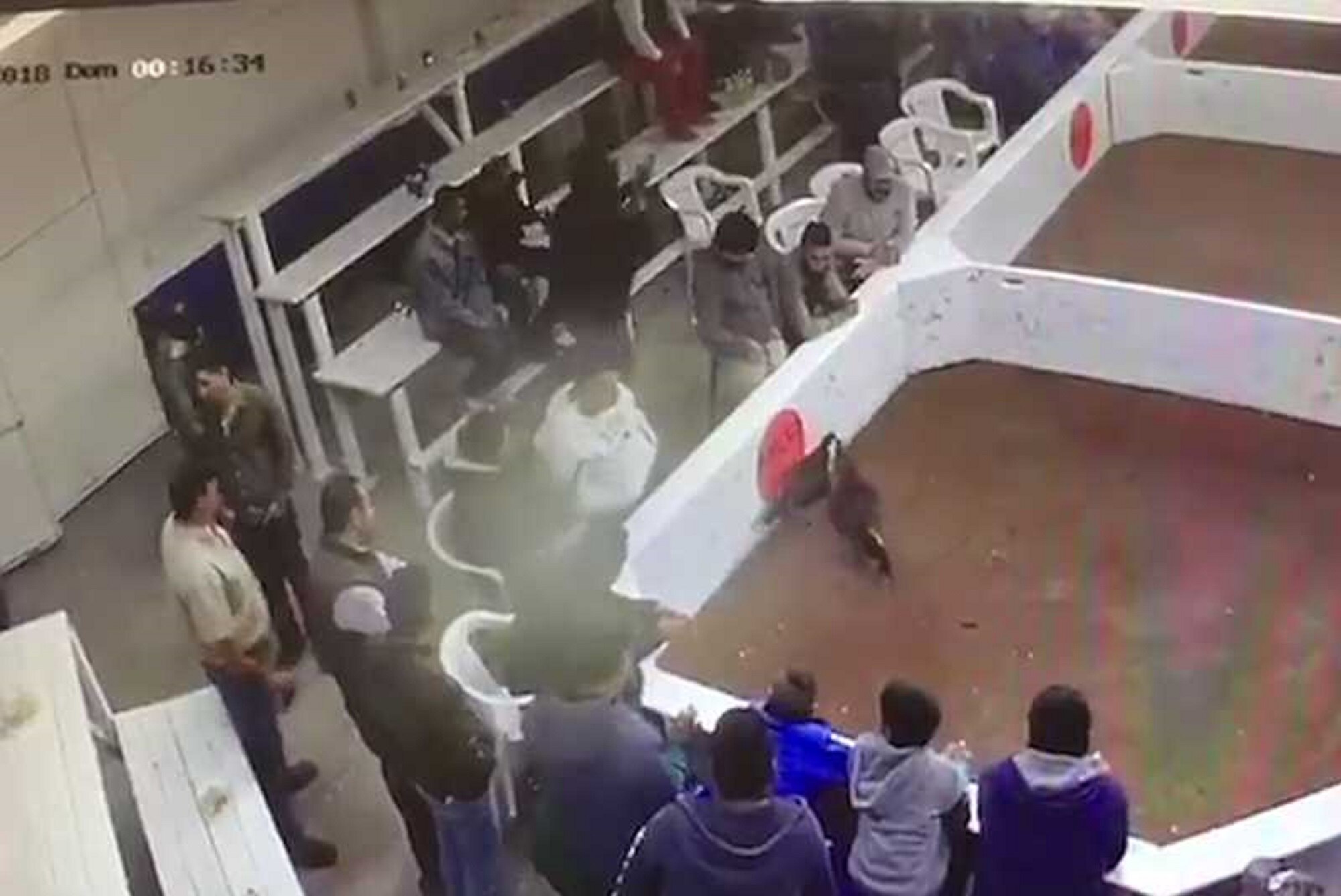 Dejan a cinco decapitados fuera de funeraria en Chihuahua
