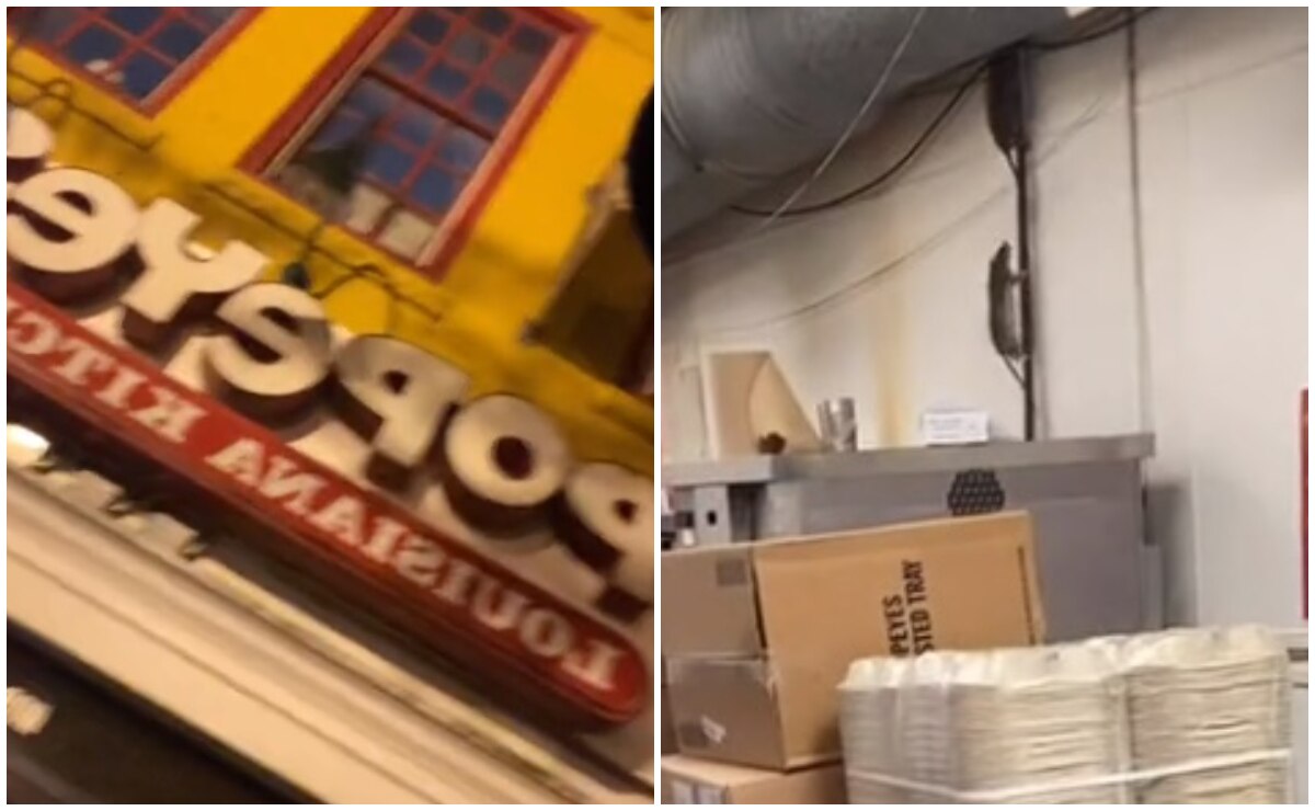 Denuncia en TikTok plaga de ratas en restaurante y lo despiden