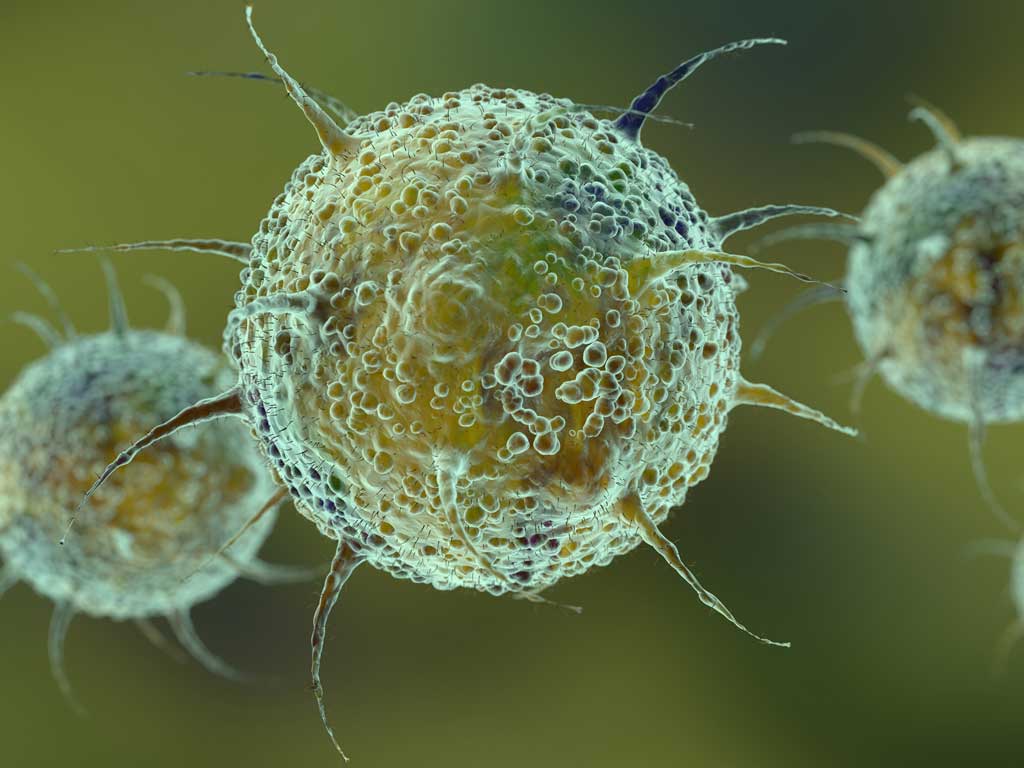 Detectan la variante "deltacron" en Chipre, una combinación de ómicron y delta