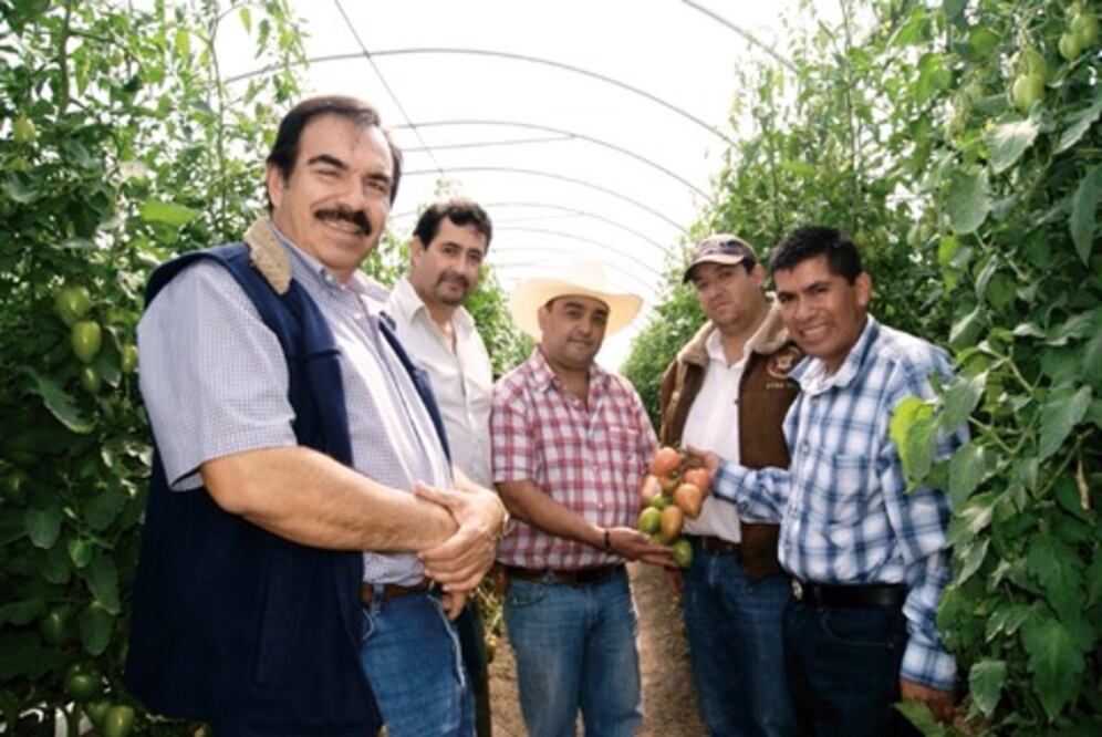 Fomentan invernaderos en Amealco