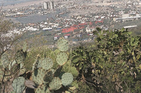 Frenan decreto de Peña Colorada