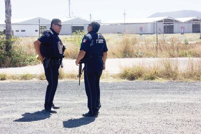 Detienen a dos por robo de armas