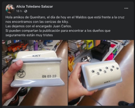 Buscan a la familia de Kiky; encontraron sus cenizas en tienda de Querétaro 