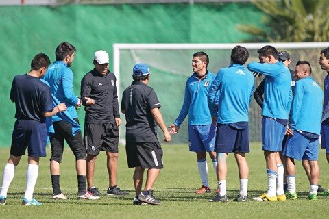 Victoria tranquiliza a Gallos