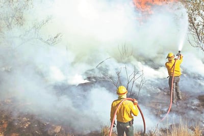 Se elevan a 300% los daños causados por incendios en zonas forestales