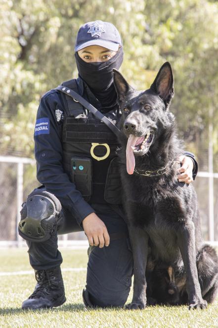 Ladriditos de alarma: nacen los refuerzos de la policía canina de Querétaro
