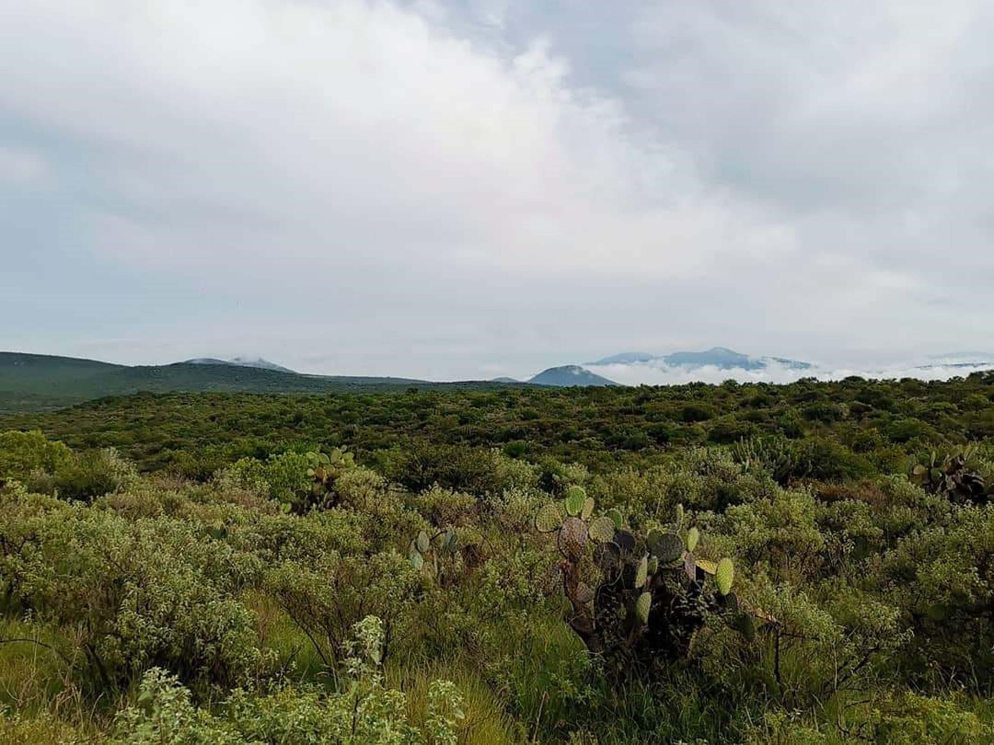 Foto: Archivo. El Universal