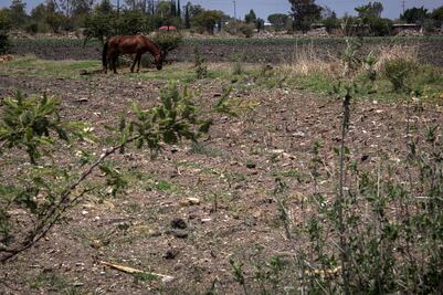 Usarán 35 mdp para pozos, pipas y apoyo al campo queretano