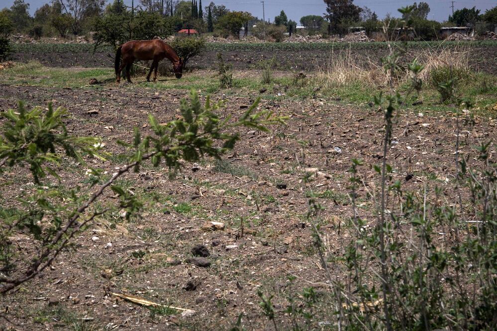 FOTO: ARCHIVO EL UNIVERSAL