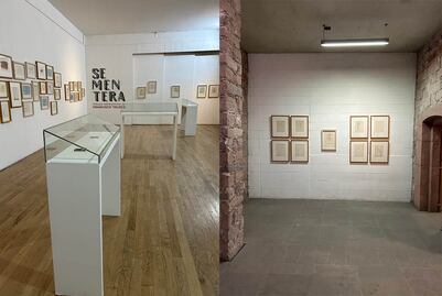 Obra de Francisco Toledo se exhibirá en el CEART