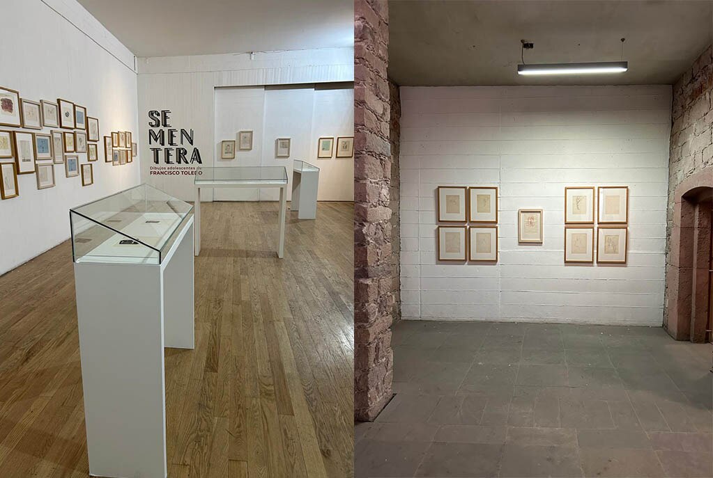 Obra de Francisco Toledo se exhibirá en el CEART