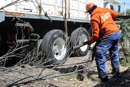 Inicia retiro de árboles secos en la capital de Querétaro