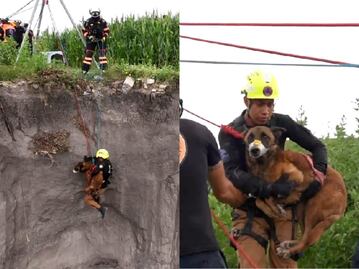 Rescatan a perrito atrapado en un barranco en El Marqués