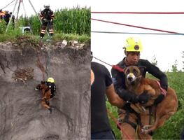 Rescatan a perrito atrapado en un barranco en El Marqués