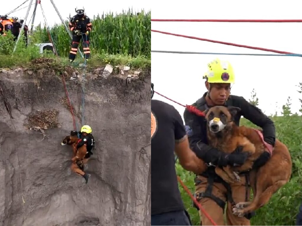 Rescatan a perrito atrapado en un barranco en El Marqués