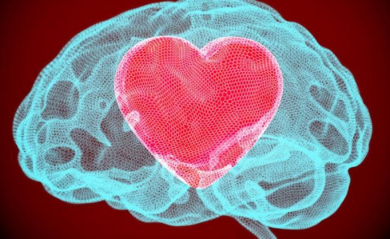 "Kisspeptin" la hormona afrodisíaca