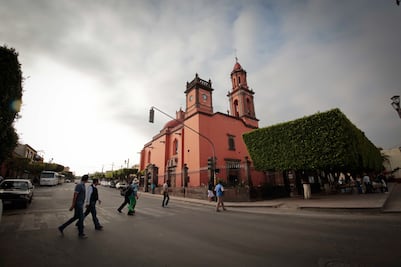 Busca SJR convenio para vender rosas en China