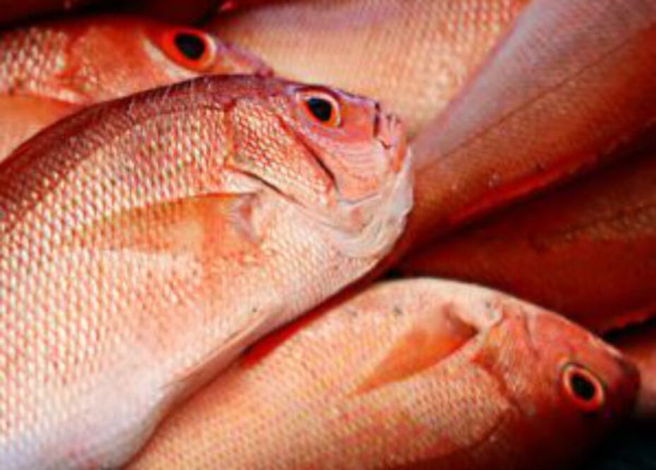 Bajará 10% precio de mariscos en cuaresma 