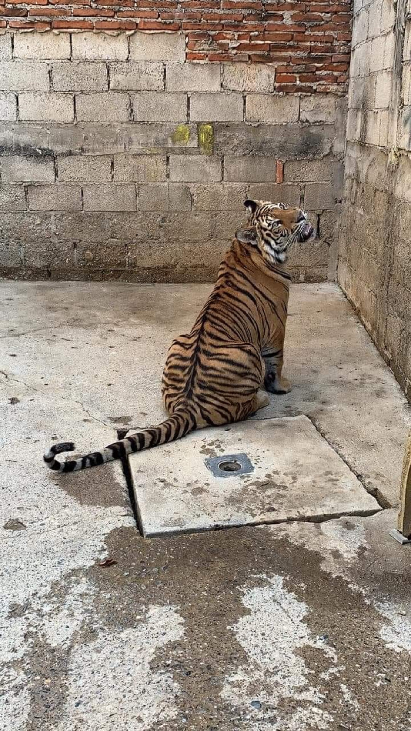 Foto: Tomada de Facebook