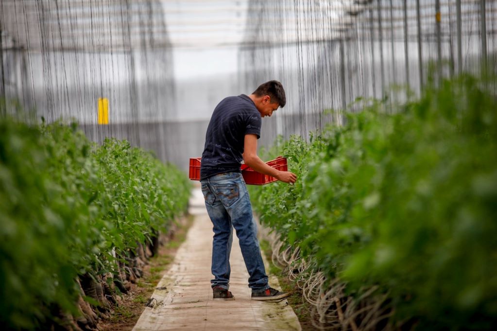 Piden diversificar economía de Querétaro con el exterior