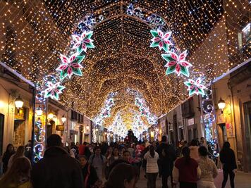 Querétaro se ilumina con el encendido de árbol de Navidad