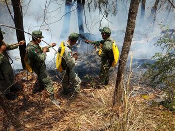 Contienen 55% del incendio en Jalpan