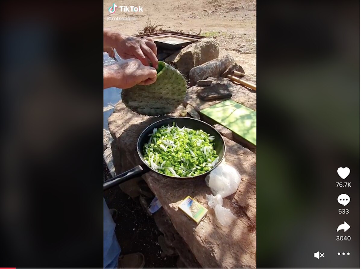Bloguero queretano muestra, paso a paso, cómo elaborar nopales en penca