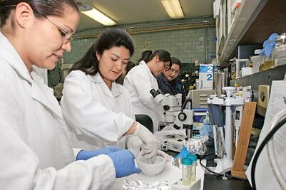 Crece 40% sector de alimentos