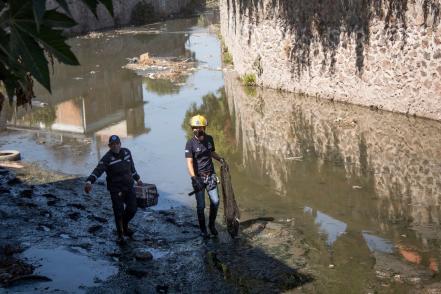Rescatan gato del dren Santa María Magdalena, en la capital queretana