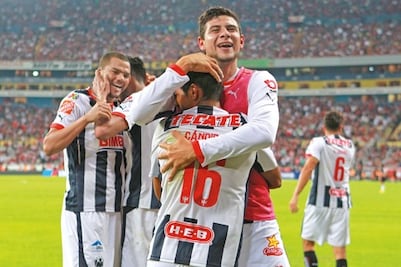 Enorme chasco sufren zorros 