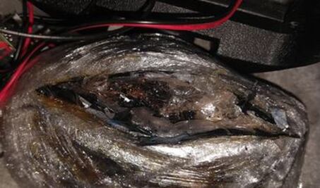 Policía Federal intercepta heroína en aeropuerto de Querétaro 