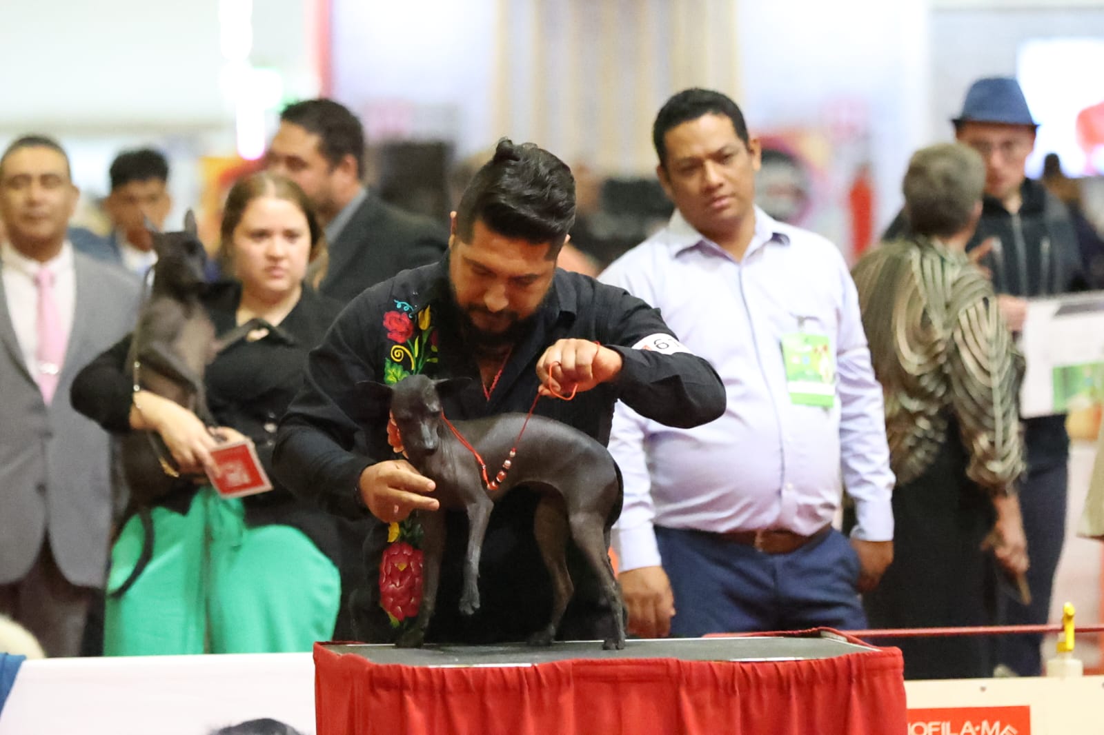 Querétaro presente en la Expocan 2024