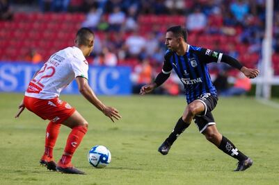 #Avance | Sorprenden el gallinero