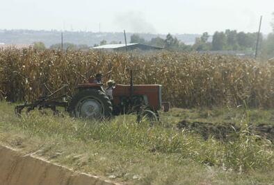 Pega cambio climático al agro