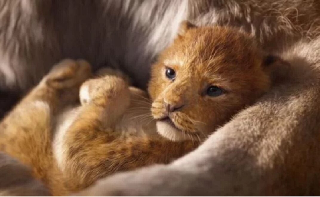 Disney promete que remake de "El Rey León" tendrá escenas nuevas