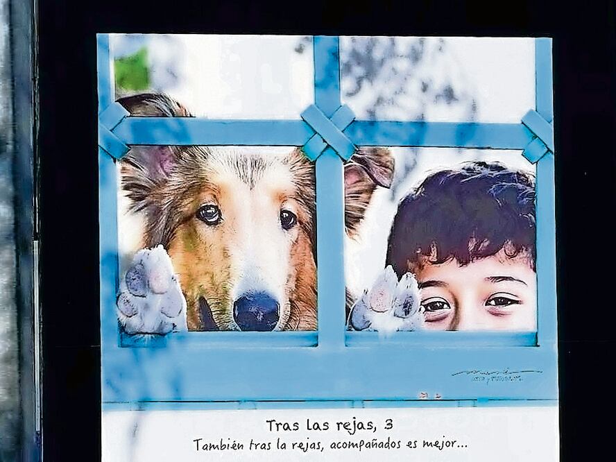 Una mirada a lo vivido durante la pandemia